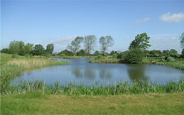 View of the lake