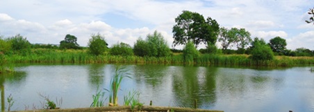 Manor Carp Lake - Carp Fishing in York